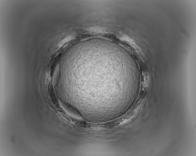 X0000110951157200907101301