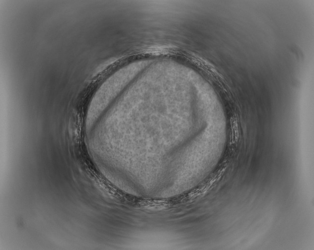 X0000110951158200907101301