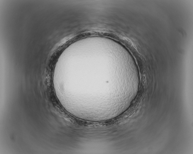 X0000110951159200907101301