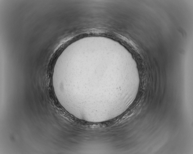 X0000110951160200907101301