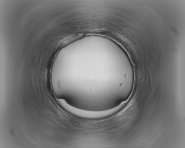 X0000110951161200907101301