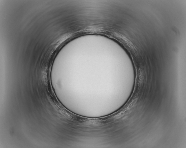 X0000110951162200907101301