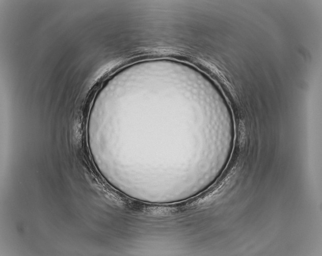 X0000110951163200907101301