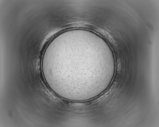 X0000110951164200907101301