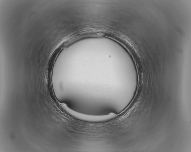 X0000110951165200907101301