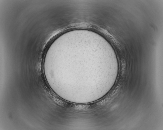 X0000110951166200907101301