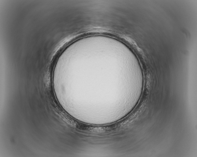 X0000110951167200907101301