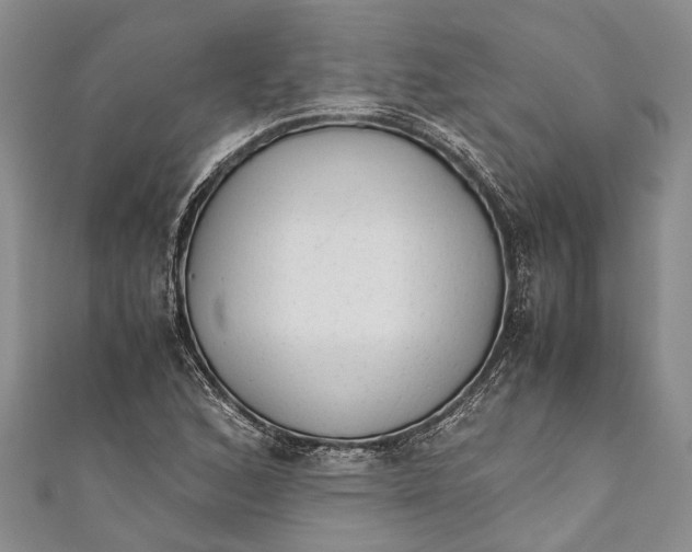 X0000110951168200907101301