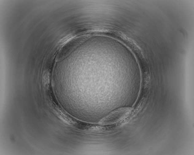 X0000110951169200907101301