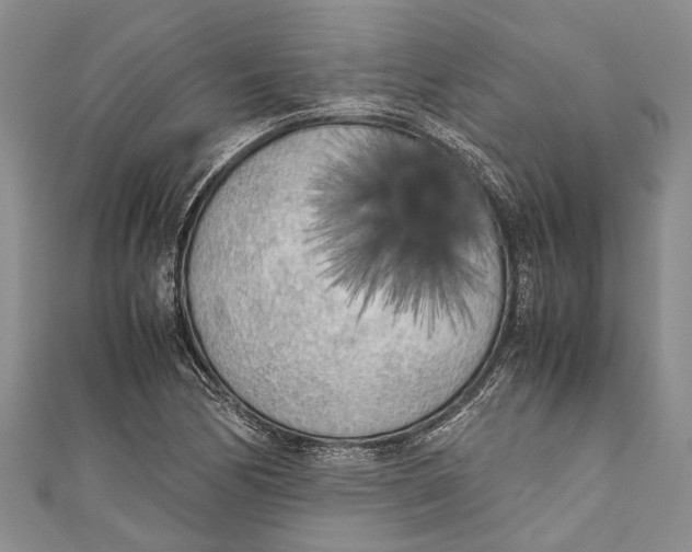 X0000110951170200907101301