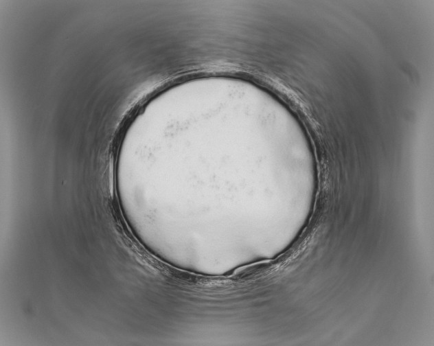 X0000110951171200907101301