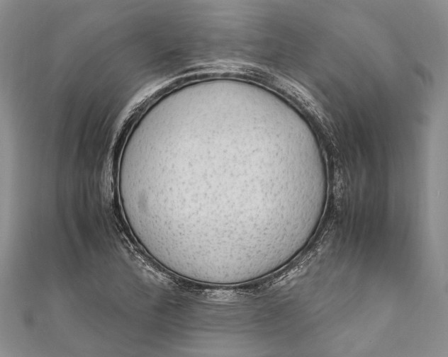 X0000110951172200907101301