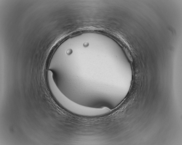 X0000110951173200907101301