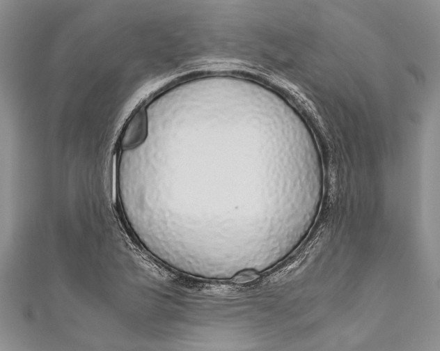 X0000110951175200907101301