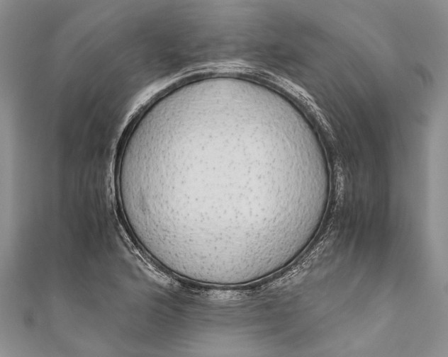 X0000110951176200907101301