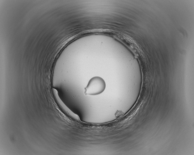 X0000110951177200907101301