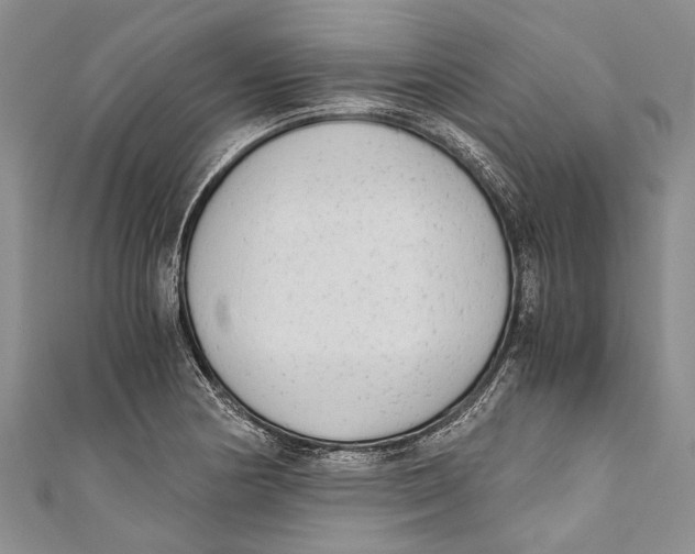 X0000110951178200907101301