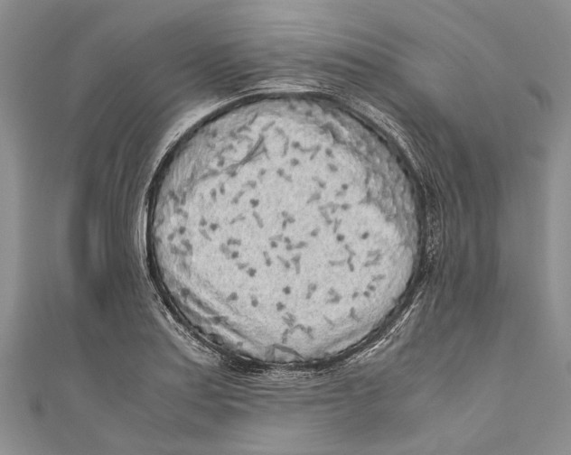 X0000110951179200907101301