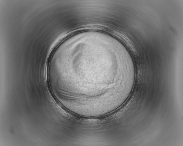 X0000110951180200907101301