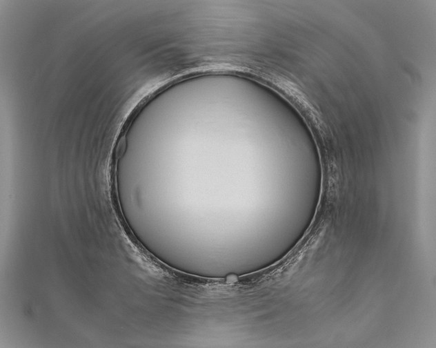 X0000110951181200907101301