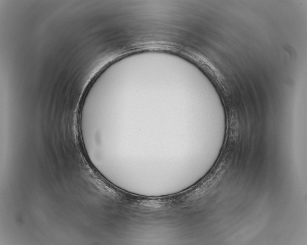 X0000110951182200907101301