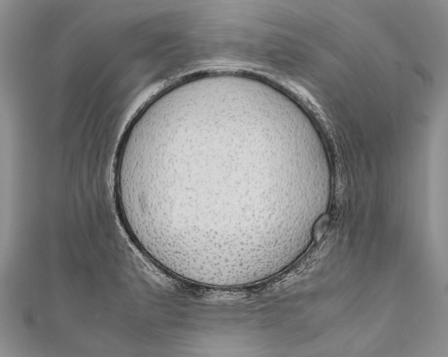 X0000110951183200907101301