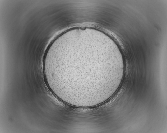 X0000110951184200907101301