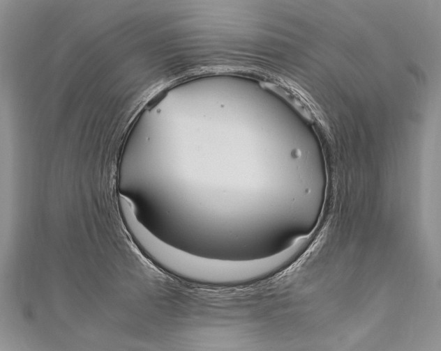 X0000110951185200907101301