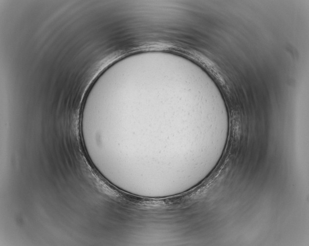 X0000110951186200907101301