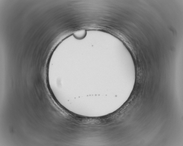 X0000110951187200907101301