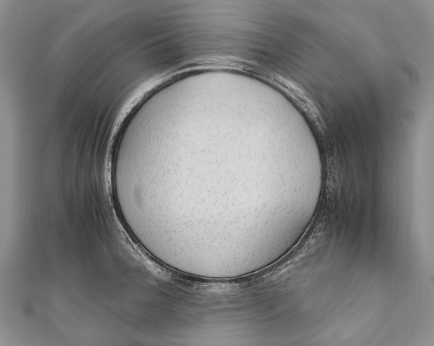 X0000110951188200907101301