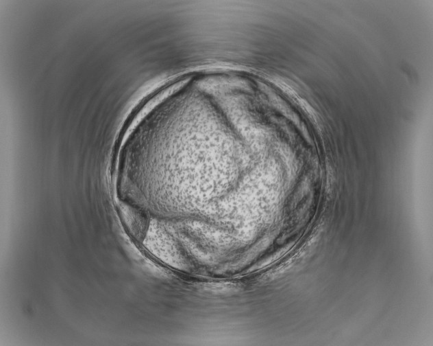 X0000110951189200907101301