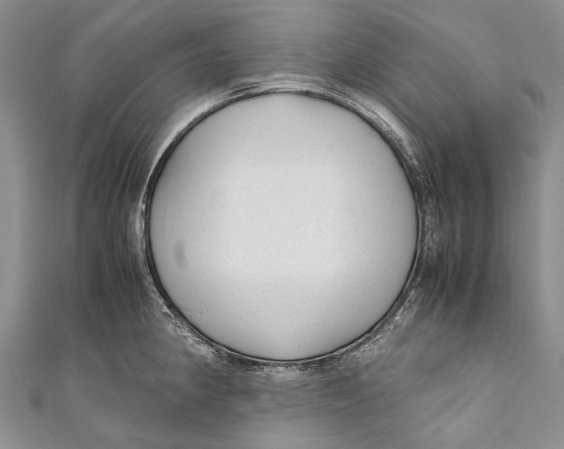 X0000110951190200907101301