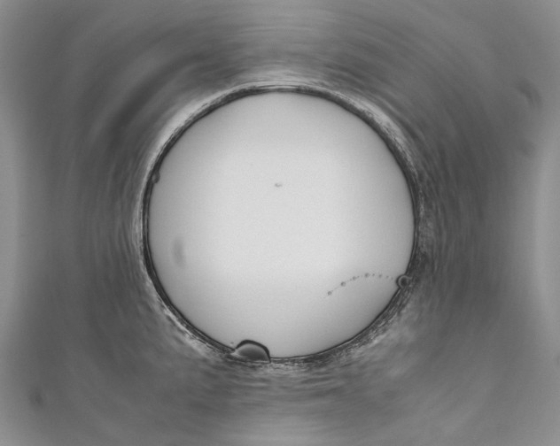 X0000110951191200907101301