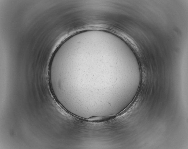 X0000110951192200907101301