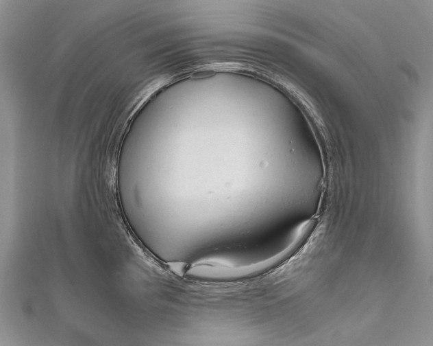 X0000110951193200907101301