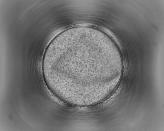 X0000110951194200907101301