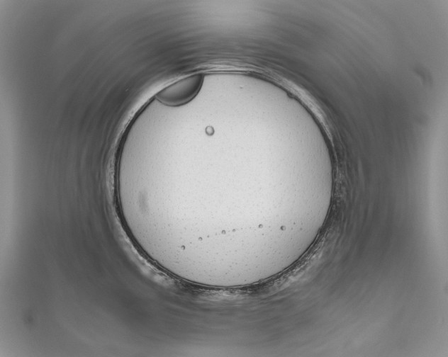 X0000110951195200907101301