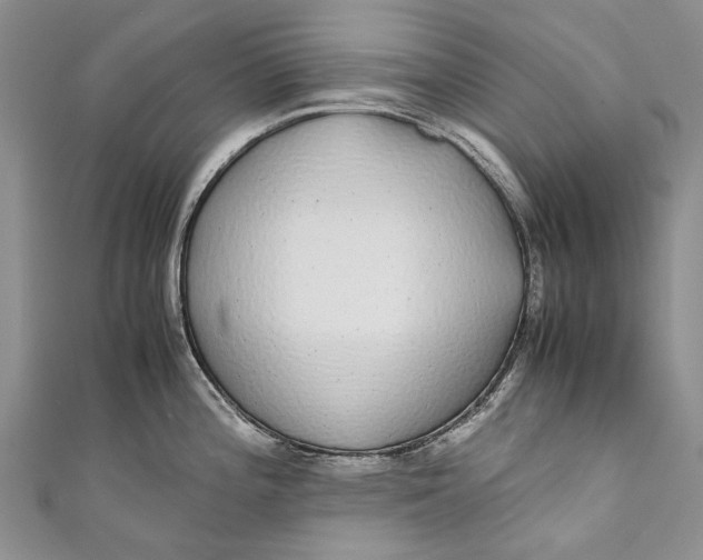 X0000110951196200907101301