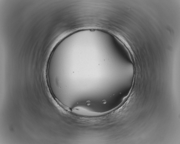 X0000110951197200907101301