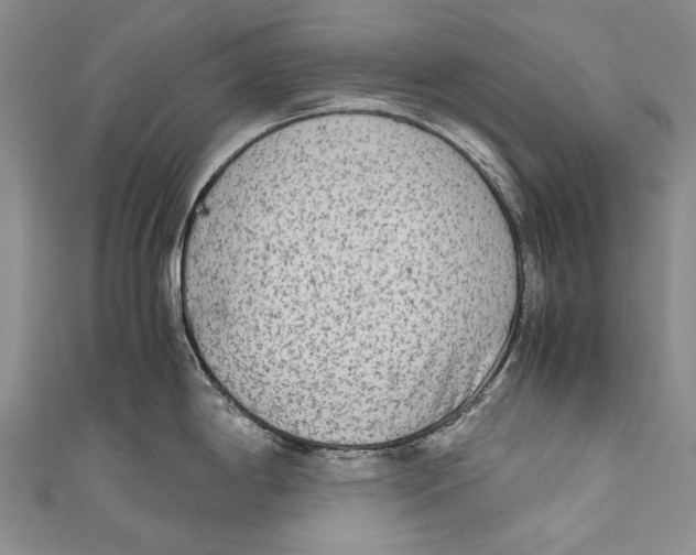 X0000110951198200907101301