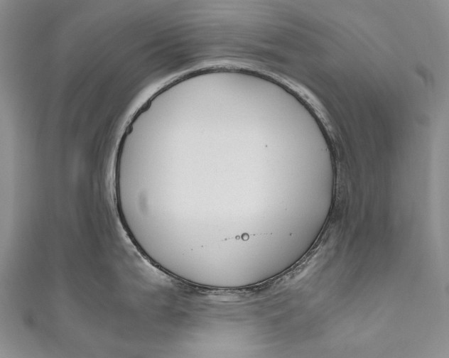 X0000110951199200907101300