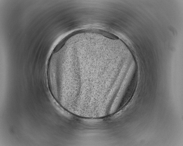 X0000110951200200907101300