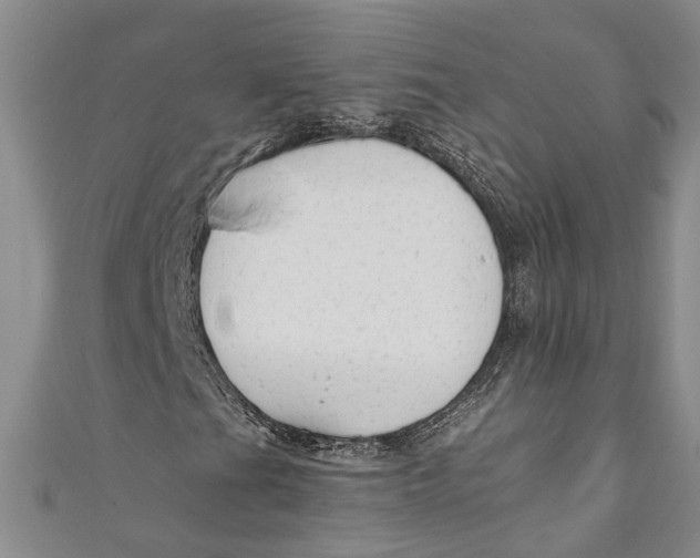 X0000110951201200907101300