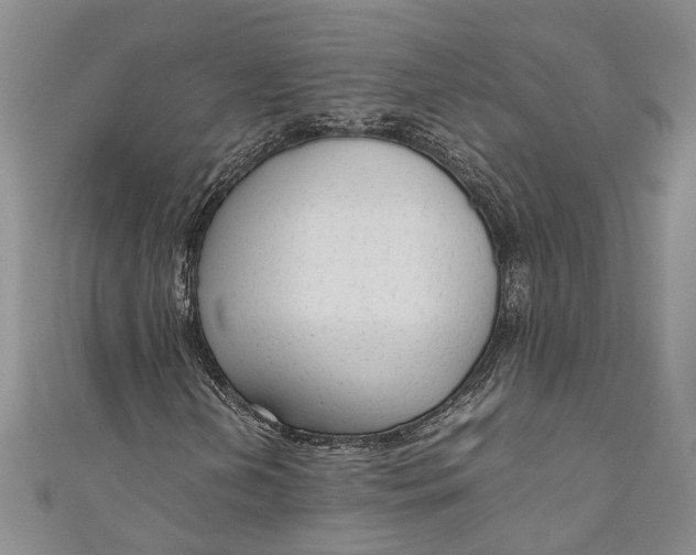 X0000110951202200907101300