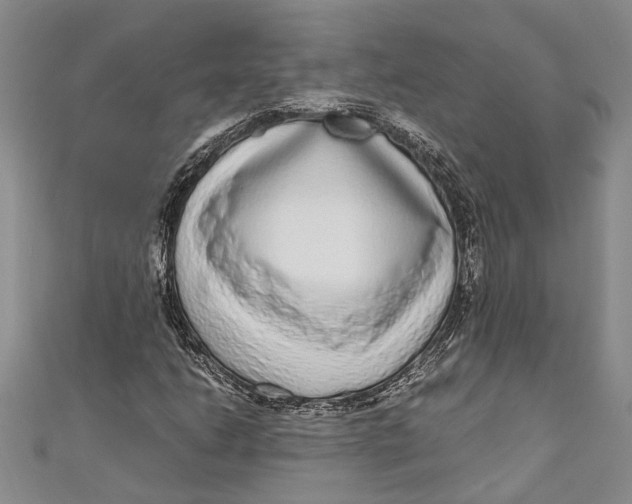 X0000110951206200907101300