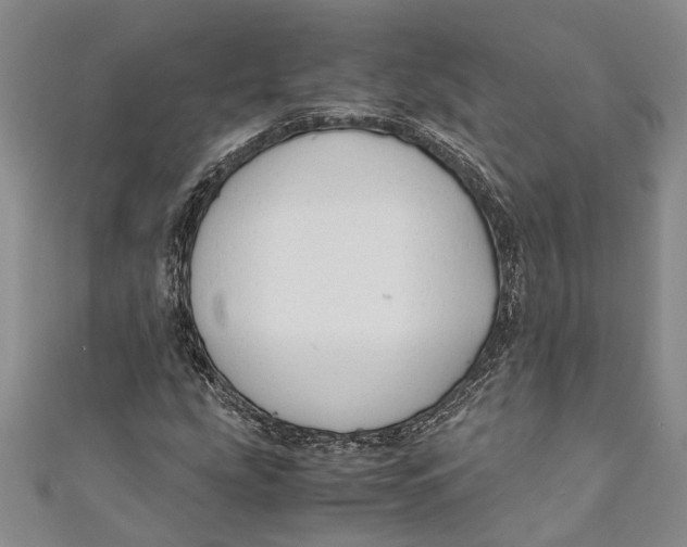 X0000110951207200907101300