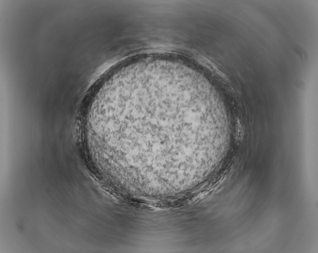 X0000110951208200907101300