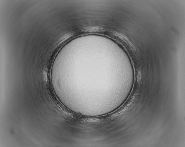 X0000110951209200907101300