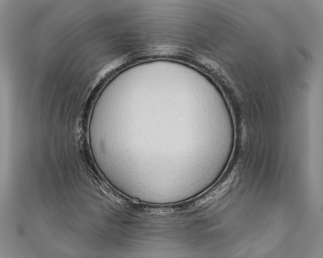 X0000110951210200907101300